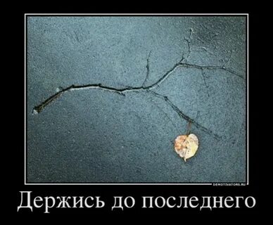 Что ответить на вопрос держись