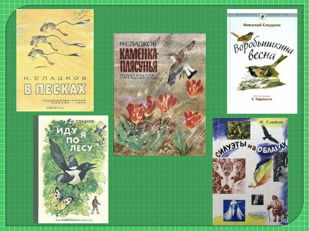 Сладков рассказы о животных. Книжки николай иванович сладков. сладков николай иванович рассказы. внеклассное чтение н сладков о природе. николай иванович сладков обложка книги его о природе.