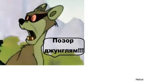 i?id=2f0fd0b65e764704a3b1fb4b4ec13803639c3a13-16481072-images-thumbs&n=13
