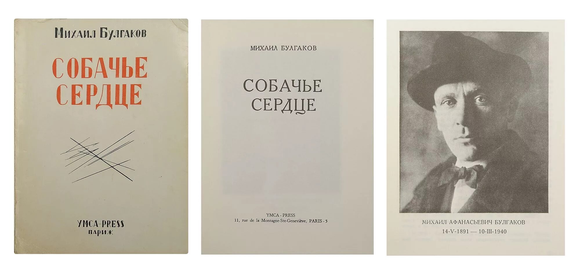 Повесть Булгакова Собачье сердце. Булгаков Собачье сердце первое издание. Булгаков Собачье сердце 1925. Собачье сердце книга 1987. Повести булгакова читать