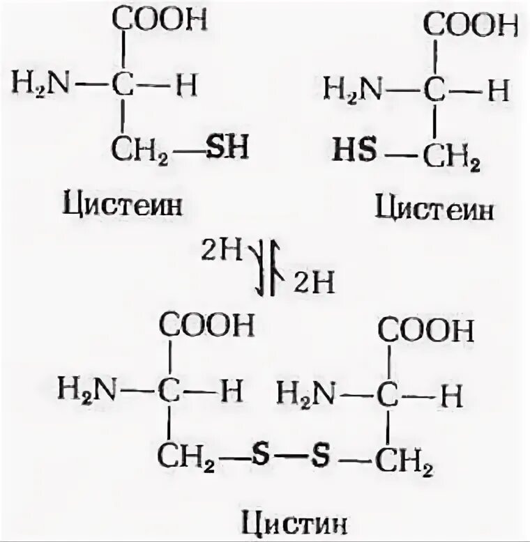 20 протеиногенных аминокислот. 20 аминокислот биохимия. Образование солей с аминами. Ph аминокислот таблица. Цепь аминокислот.