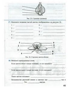 Биология 6 класс стр 14