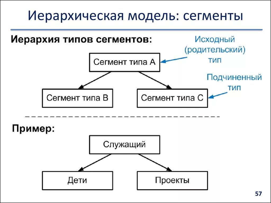 Иерархический тип данных. Сегмент иерархическая модель. иерархия типов данных. информационная модель с иерархической структурой. сделать иерархическая модель.
