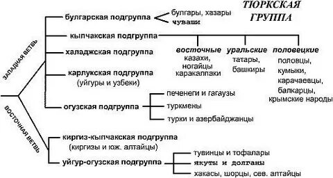 Тюркская языковая семья относится