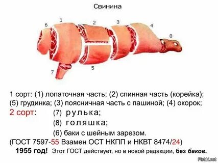Разделка туши свиньи название