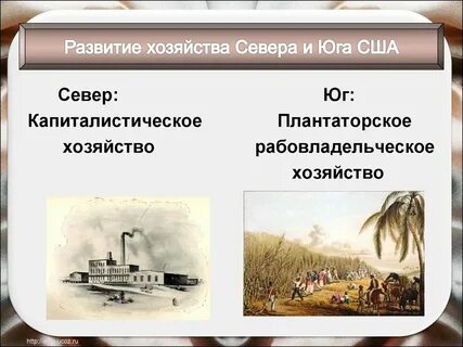 Какими путями развивалось сельское хозяйство в сша