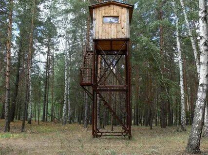 Вышки на кабанов