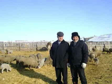 Зао красное