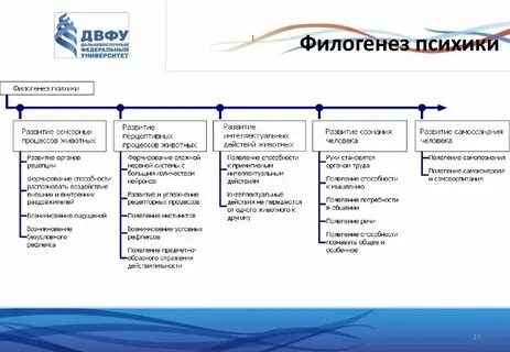 Общее психическое развитие это