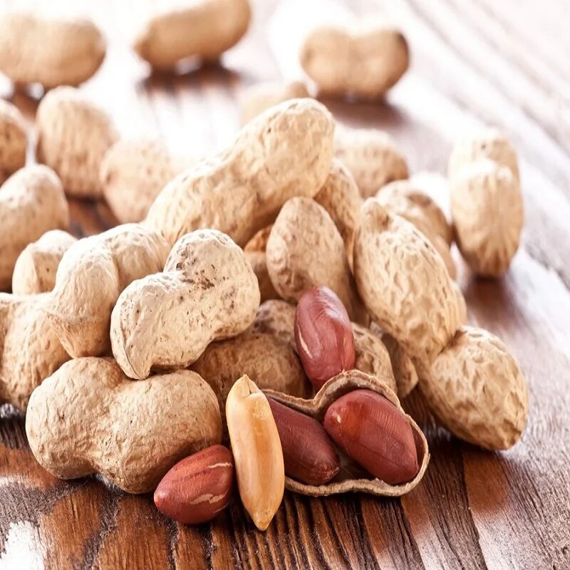 Земляной орех арахис. Арахис Peanuts. Арахис культурный Земляной. Турецкий арахис. Виды арахиса