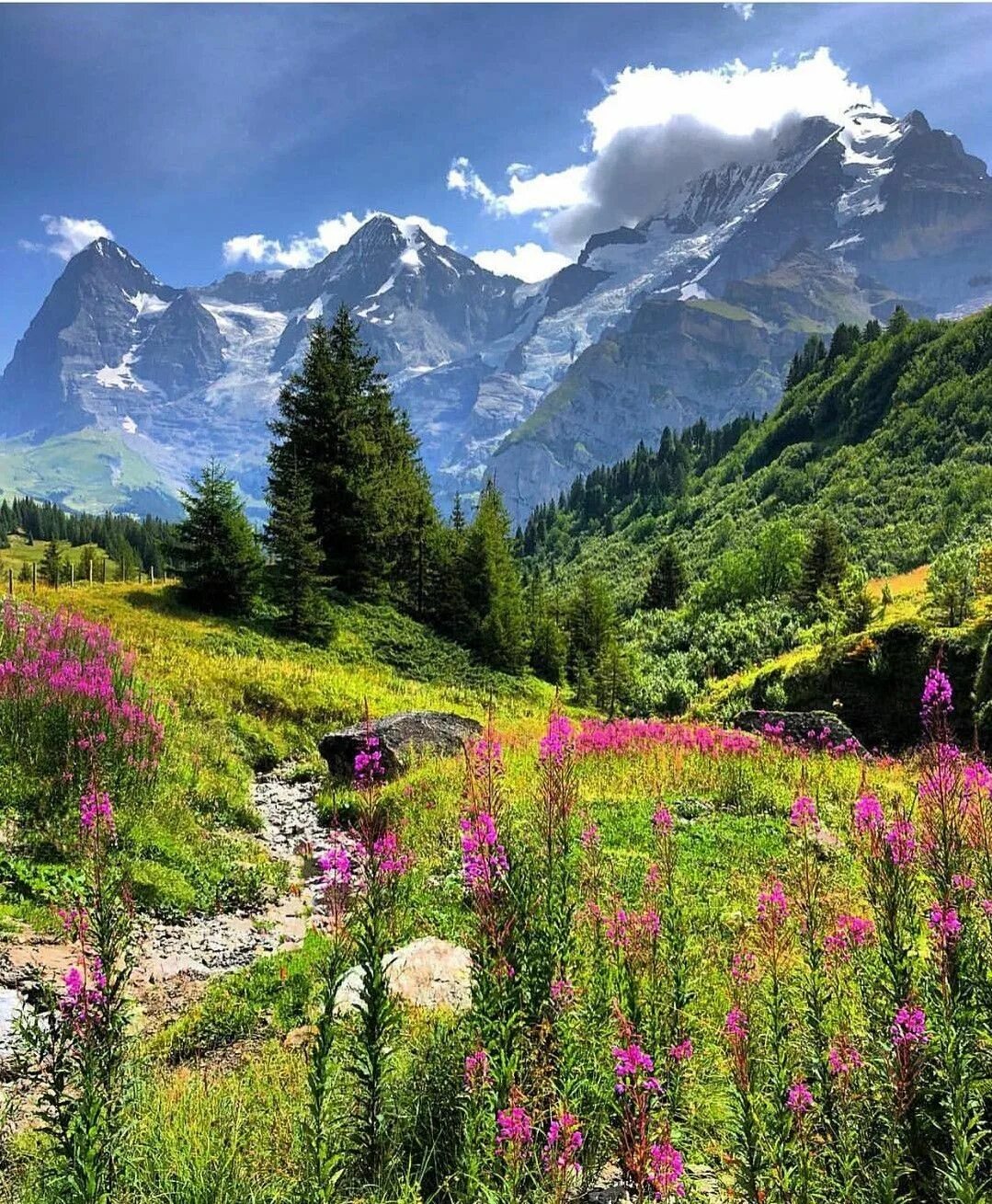 Франция савойя природа. Шавлинские озера. Альпы швейцария. Южные горы лето. Кордильеры альпийские луга.