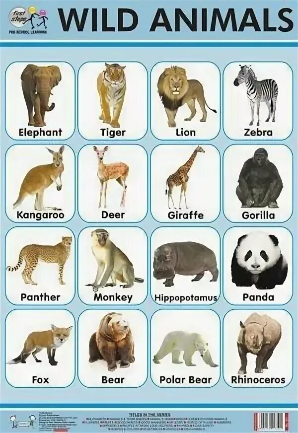 Английский язык wild animals