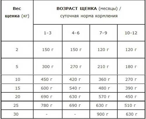 Норма кормления щенка МОПСА 2 месяца. Норма кормления щенка корги. Таблица кормления щенка корги. Норма сухого корма для щенка корги 6 месяцев.