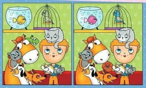 Включи найди точнее