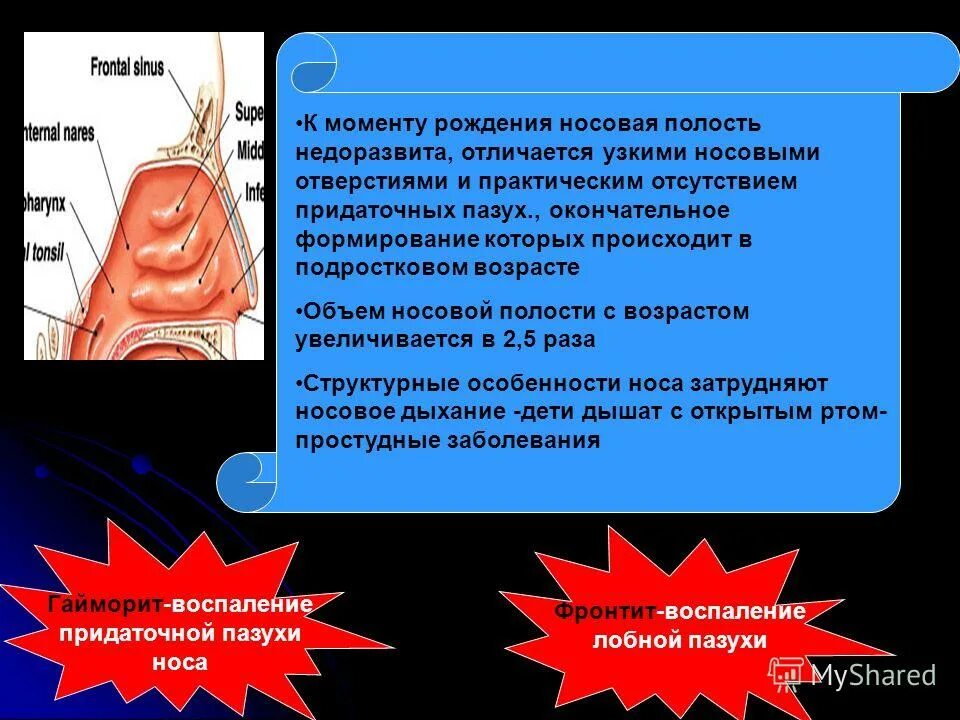 Какой процесс называется дыханием. Носовая полость газообмен. в носовой полости происходит газообмен. какой процесс называют дыханием. окончательное формирование легких.