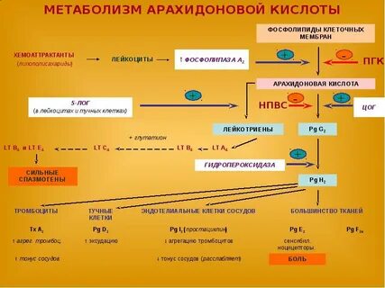 И затем в процессе