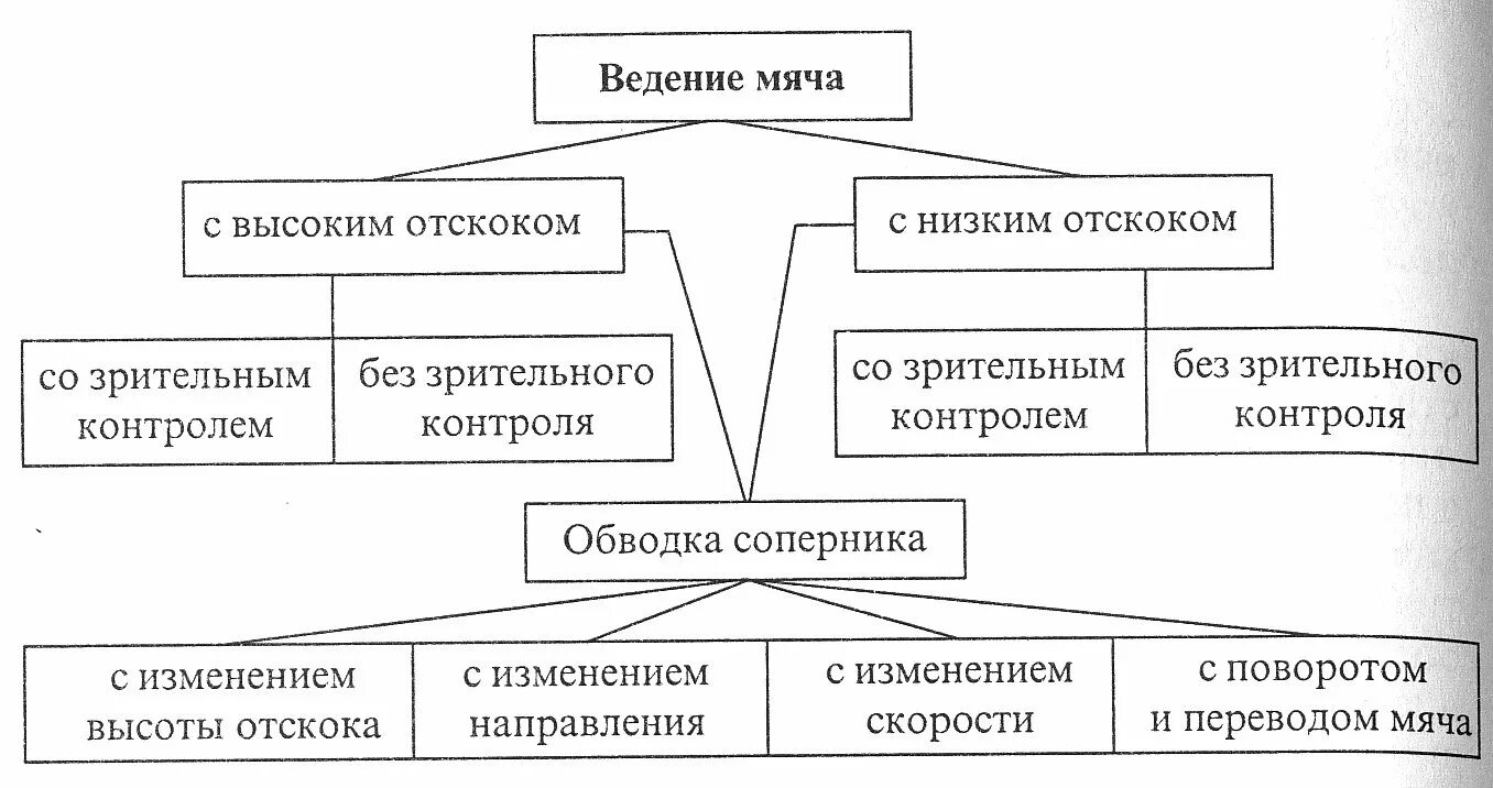 Виды ведения