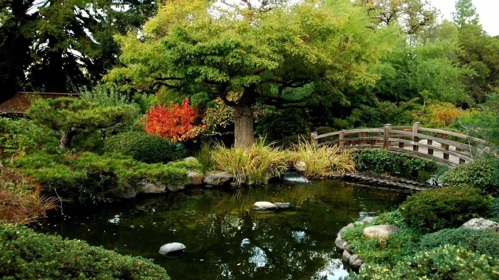 Японский пруд. Хелен парк+ ландшафт. Ландшафтный пейзажный сад Японии. Парк Клингендаел-японский сад. Япония Тенистый парк.