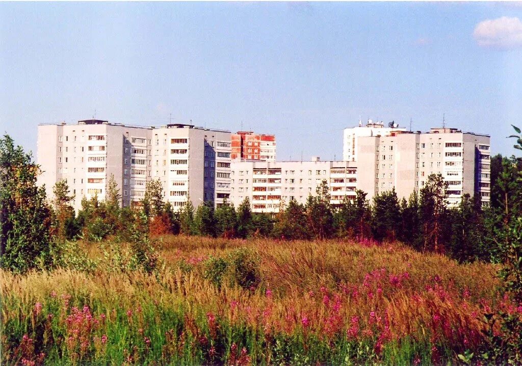 ломоносова 1/1 полярные зори. г полярные зори мурманской области. полярные зори город. белова 2 полярные зори. полярные зори город.