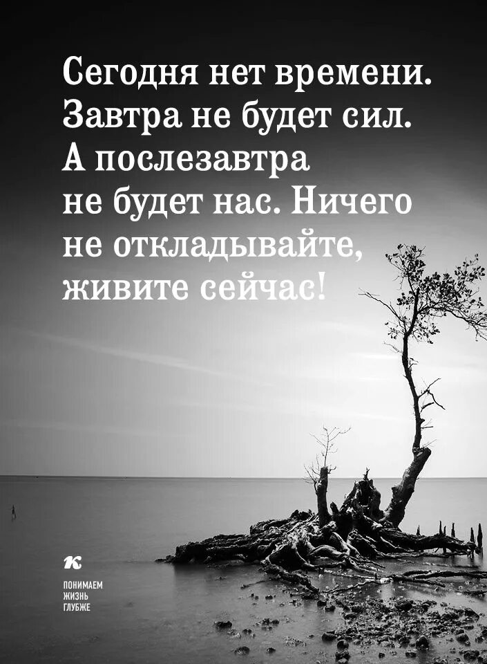 Глубокие цитаты. Высказывания с глубоким смыслом. Умные фразы с глубоким смыслом. Мудрые цитаты с глубоким смыслом. Высказывания с глубоким смыслом о жизни.