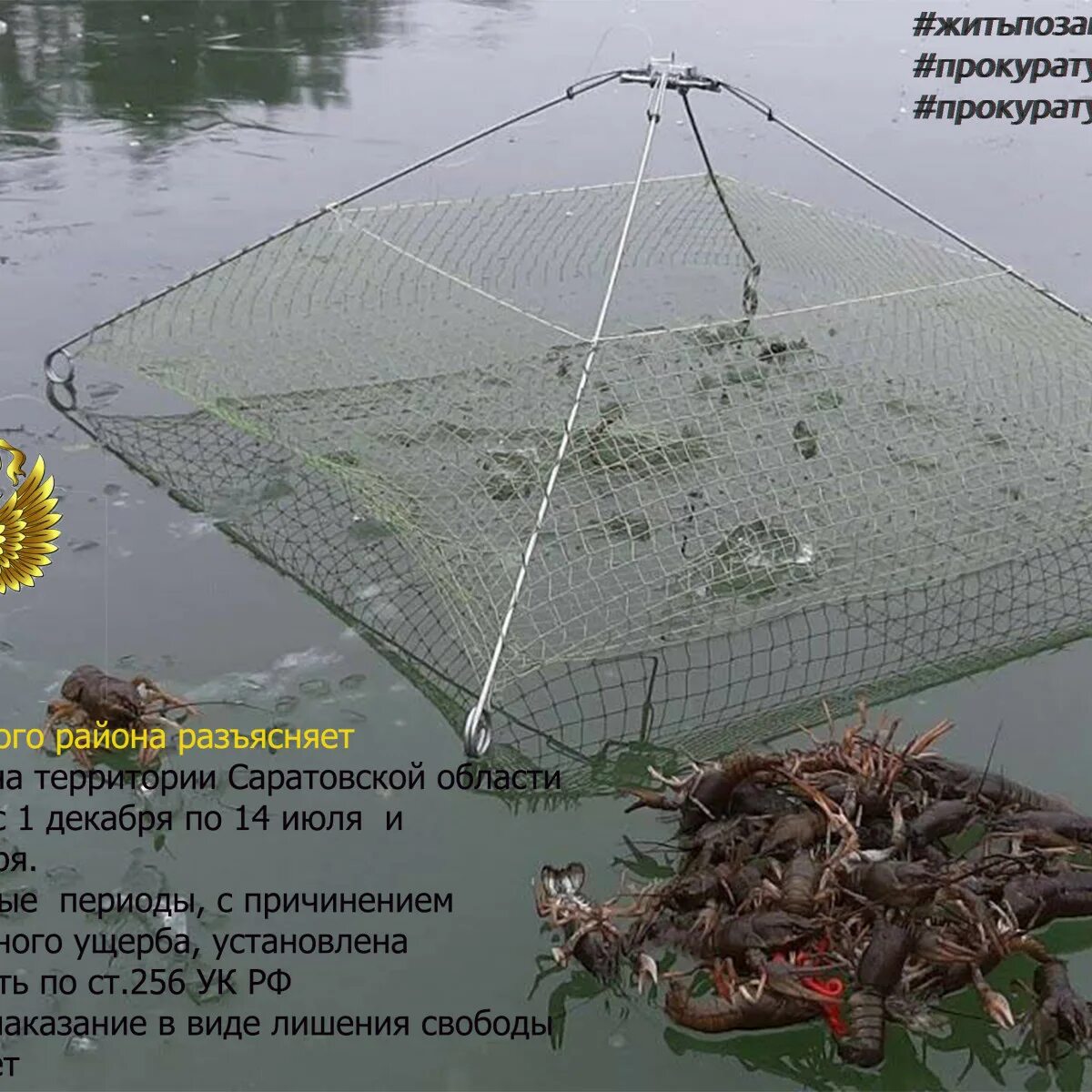 Как ставить раколовку гармошку