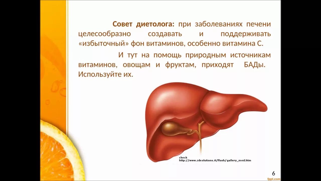 Влияние печени на поджелудочную. Натуральная печень человека.