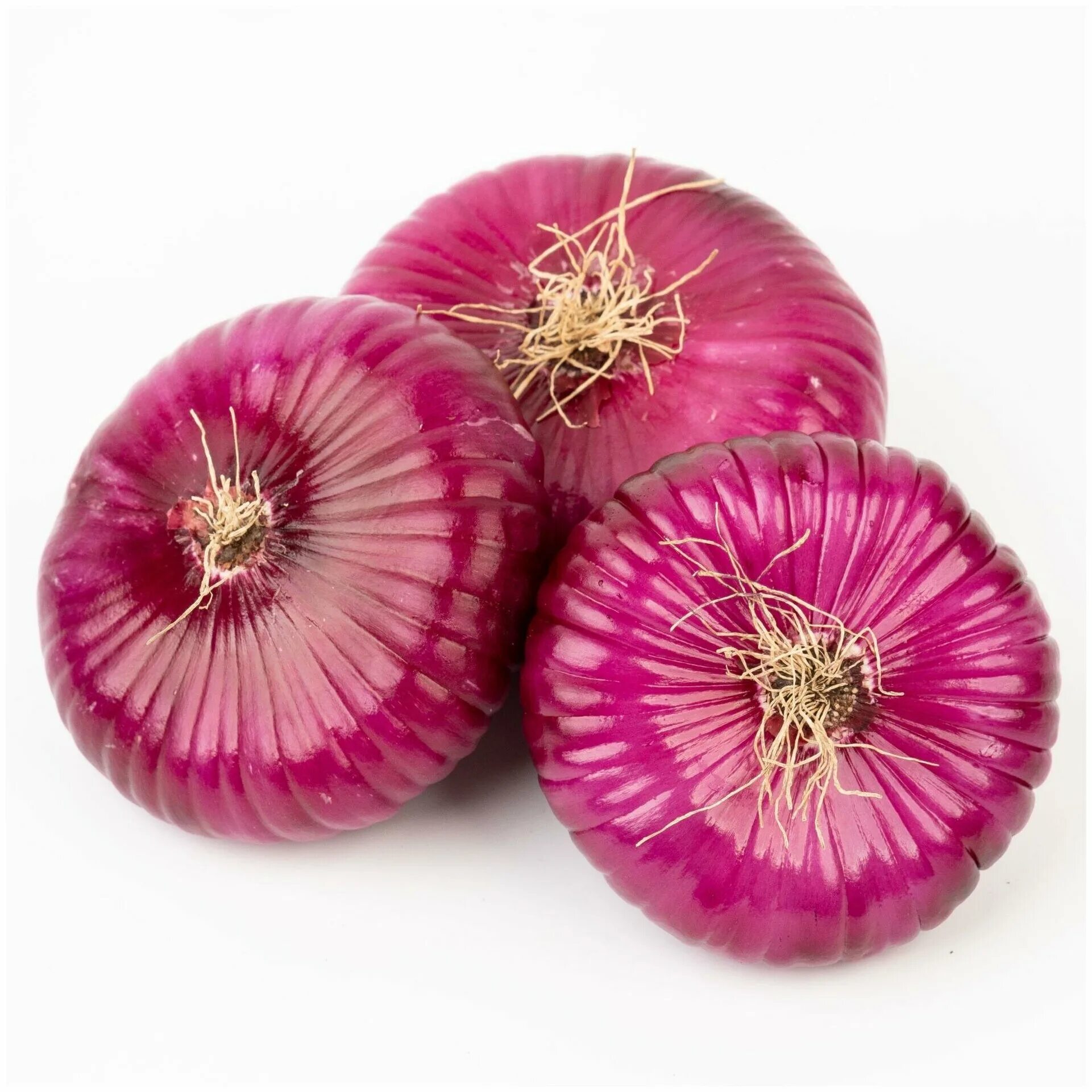 лук красный плоский ялтинский. лук красный ялтинский. лук репчатый ялтинский красный.