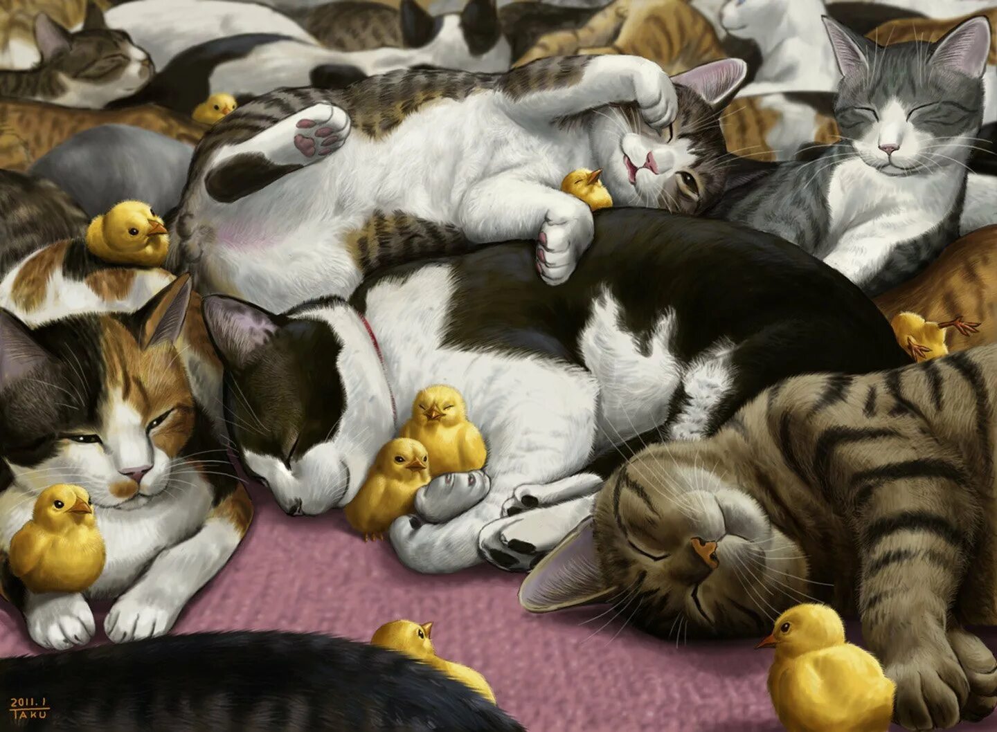 Приснилось много кошек. Много котиков. Среди котов. Кошка с котятами арт. Много спящих котиков.