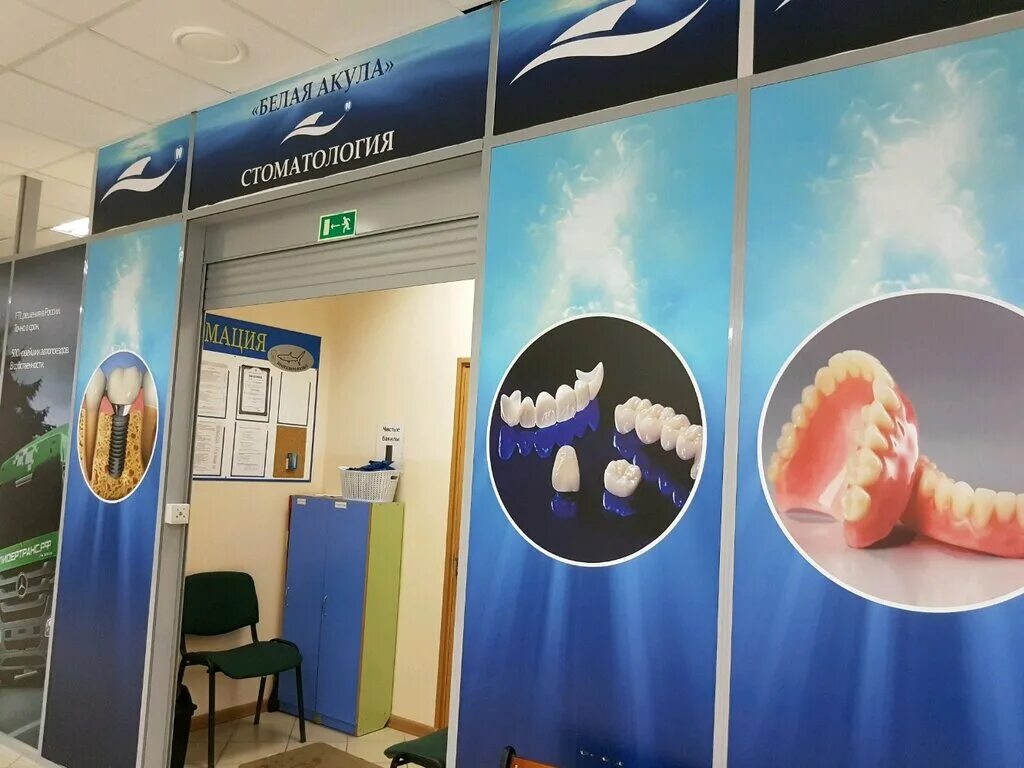 магазин белая акула