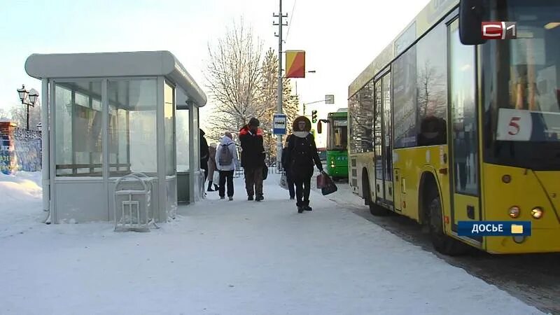 Общественный транспорт сургут новости. Новые автобусы. Новый вид общественного транспорта в Сургуте. Изменения автобусных маршрутов. Транспортная реформа в Сургуте.