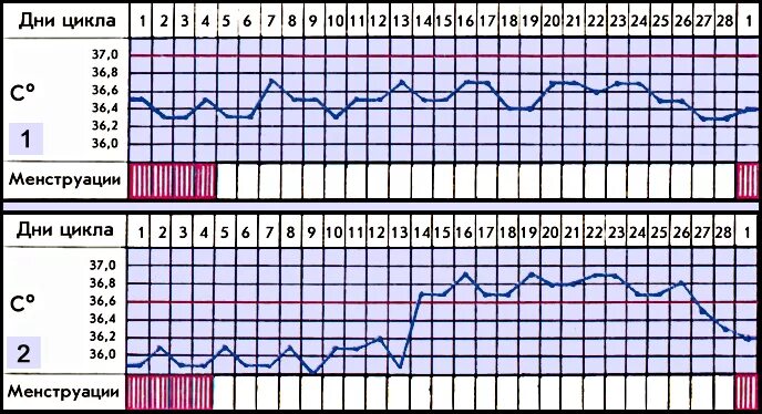 Второй месяц не могу забеременеть. Цикл месячных овуляция. Месячный цикл у девочек. Месячные выделения по дням цикла. Цикл овуляции для беременности.
