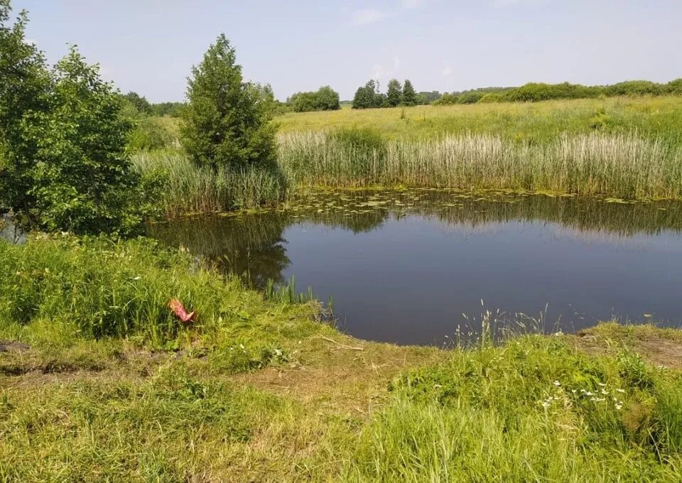 Карта тамбовской области по районам. Памятник николаю 2 в тамбове. Теле тамбовская область. Село стрельцы тамбовский район. Паревка инжавинский район барская гора.