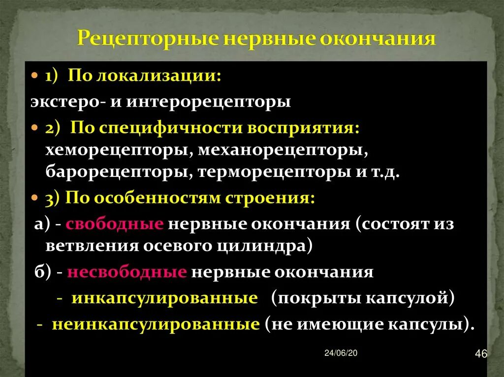 Несвободные неинкапсулированные нервные окончания функции. Рецепторные нервные окончания. Классификация рецепторных нервных окончаний. Свободные и несвободные рецепторные нервные окончания.