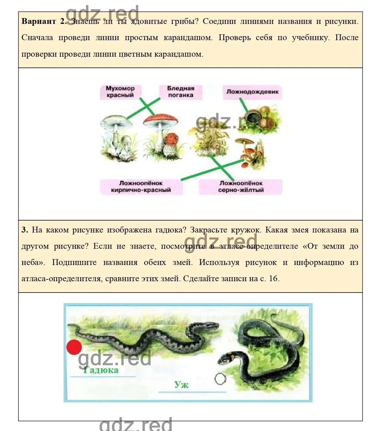 Окружающий мир 3 стр 15. Окружающий мир 3 класс рабочая тетрадь стр 12 номер 3. окружающий мир 3 класс рабочая тетрадь плешаков ответы стр 15-16. окружающий мир рабочая тетрадь 3 часть. гдз окружающий мир 3 класс рабочая тетрадь 2.