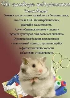 Слово в хомяке 20