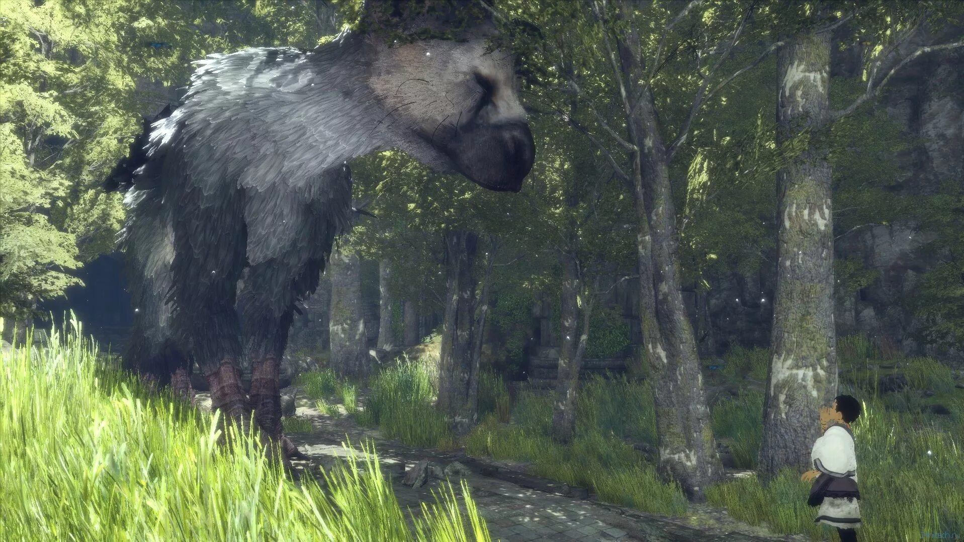 The last Guardian. The Guardian игра. Игра the last Guardian ps4. Зе ласт Гарден.