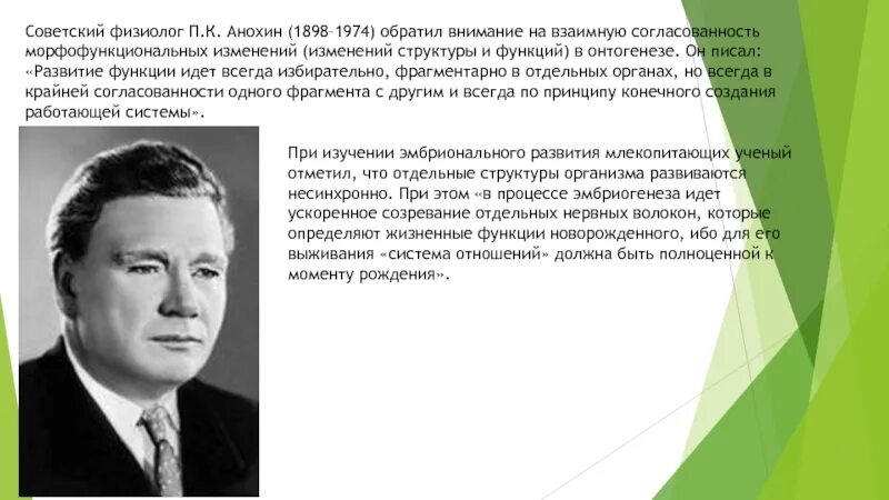 П к ление. П.К. Анохин (1898–1974). П К Анохин вклад в биологию.