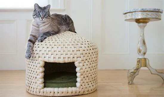 Как приучить кошку к домику. Кошачий дом neko. приучить кошку к новому домику.