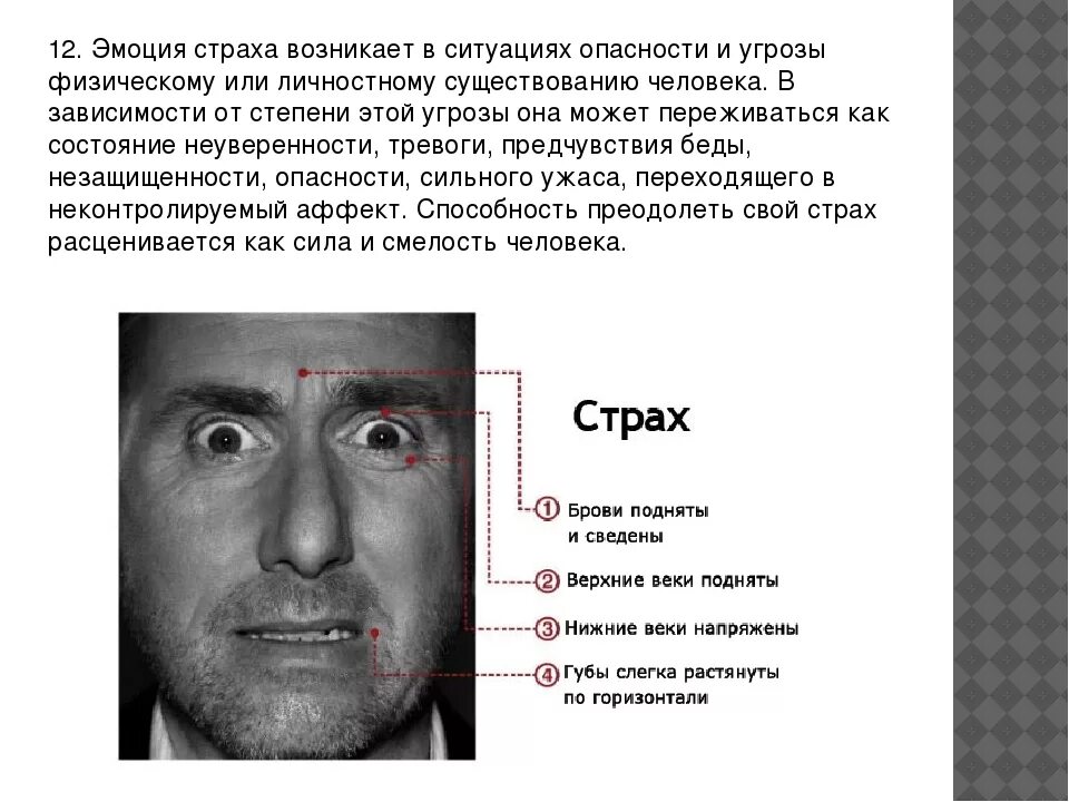 Как понять что человек боится