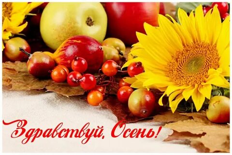 Лето время урожая