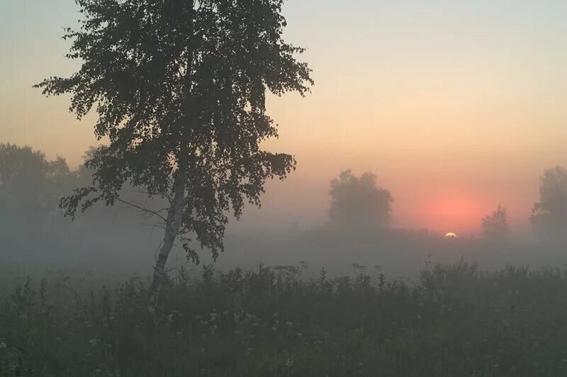 уходящий человек. трава на рассвете. мы бродили закат хорош мгла начинает.