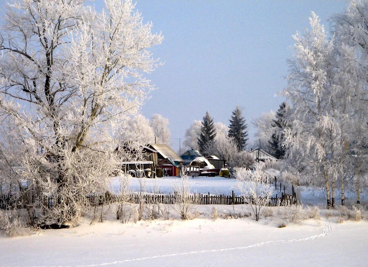 Январь. Февраль природа. Зима январь. Солнечный зимний день в городе. Разгар зимы