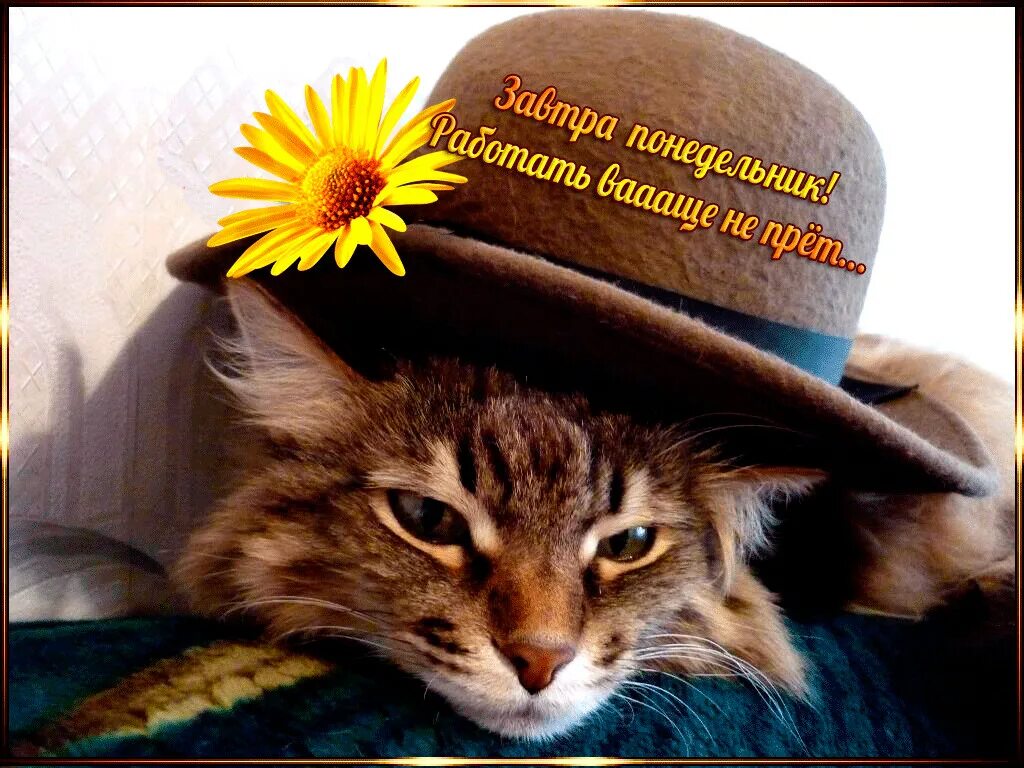 Удачного дня завтра