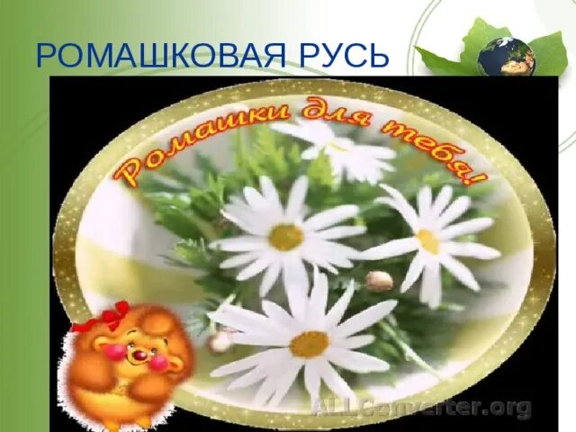 Моя ромашковая русь. Песня ромашковая русь текст. Песня ромашковая русь текст песни. Ромашковая русь текст. Песня русь текст.