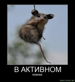 Статус активный