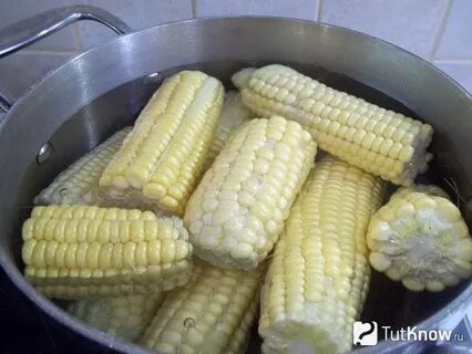 Можно ли замораживать кукурузу в початках