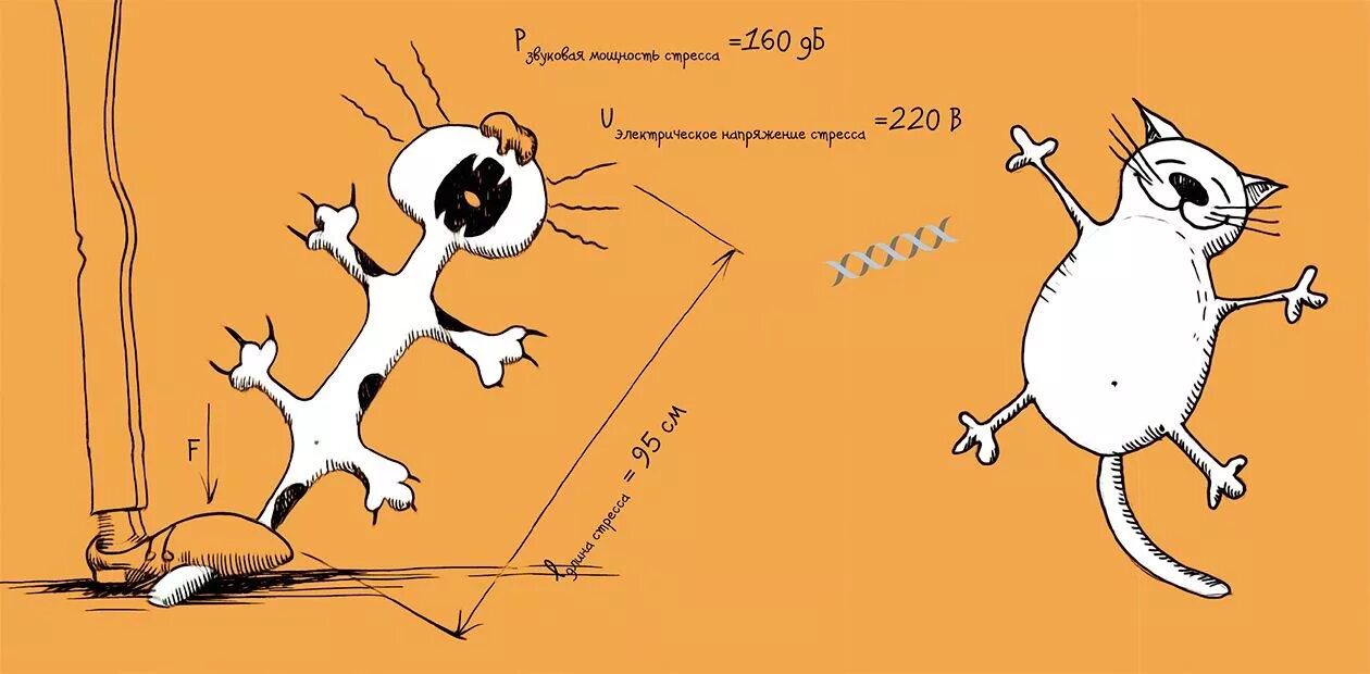 Как измерить стресс