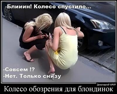 Ё Бпииии Колесо Колесо обозрения для блондинок - выпуск № 1456563