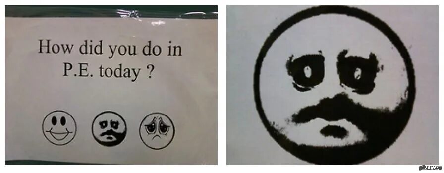 Do you really trust me. How did you do in p.e today. How do you. How did you do in p.e today meme. How did you in pe today.