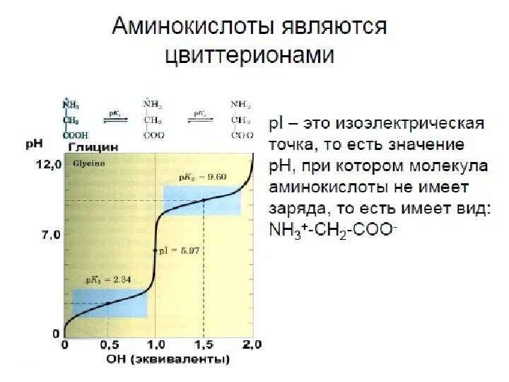 Белковая точка. Изоэлектрическая точка аминокислот таблица. Альфа-аминокислот изоэлектрическая точка. Изоэлектрическая точка белков таблица. PH Pi аминокислот.